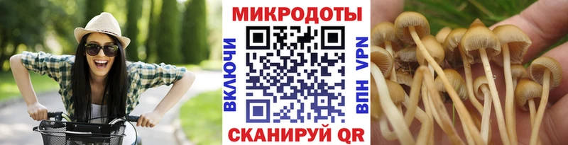KRAKEN как зайти  Петухово  Псилоцибиновые грибы прущие грибы 